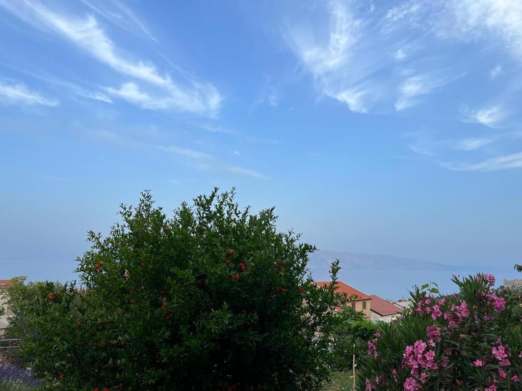 Apartment Verda Senj  Zewnętrze zdjęcie